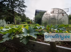 Liivakivi tee 91 Suurupi03 Müüa maja, 3 magamistuba - Liivakivi tee 91, Suurupi, Harku vald, Harjumaa Brokerly, we do more.