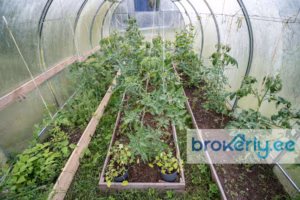 Liivakivi tee 91 Suurupi04 Müüa maja, 3 magamistuba - Liivakivi tee 91, Suurupi, Harku vald, Harjumaa Brokerly, we do more.