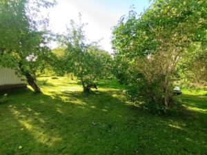 20250927 151149 apartment for rent, 2 rooms - Viadukti tn 6, Luite, Kesklinn, Tallinn, Harjumaa Brokerly, we do more.