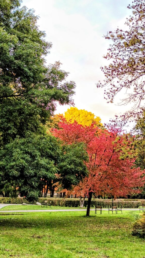 Park in Tallinn