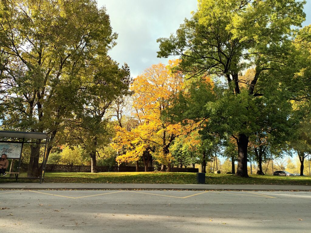 Park